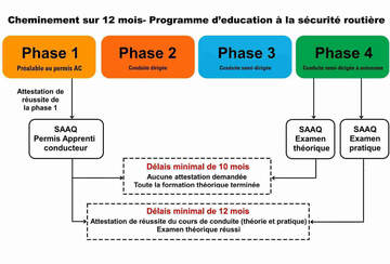 Phase 3